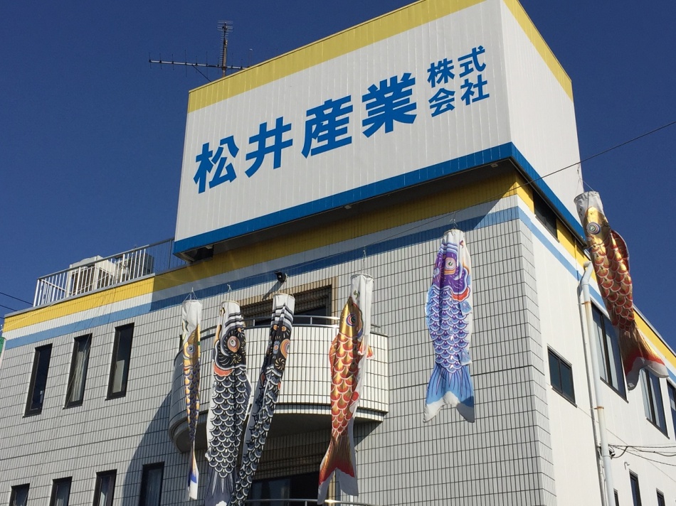 松井産業は毎年こいのぼりを設置します。
