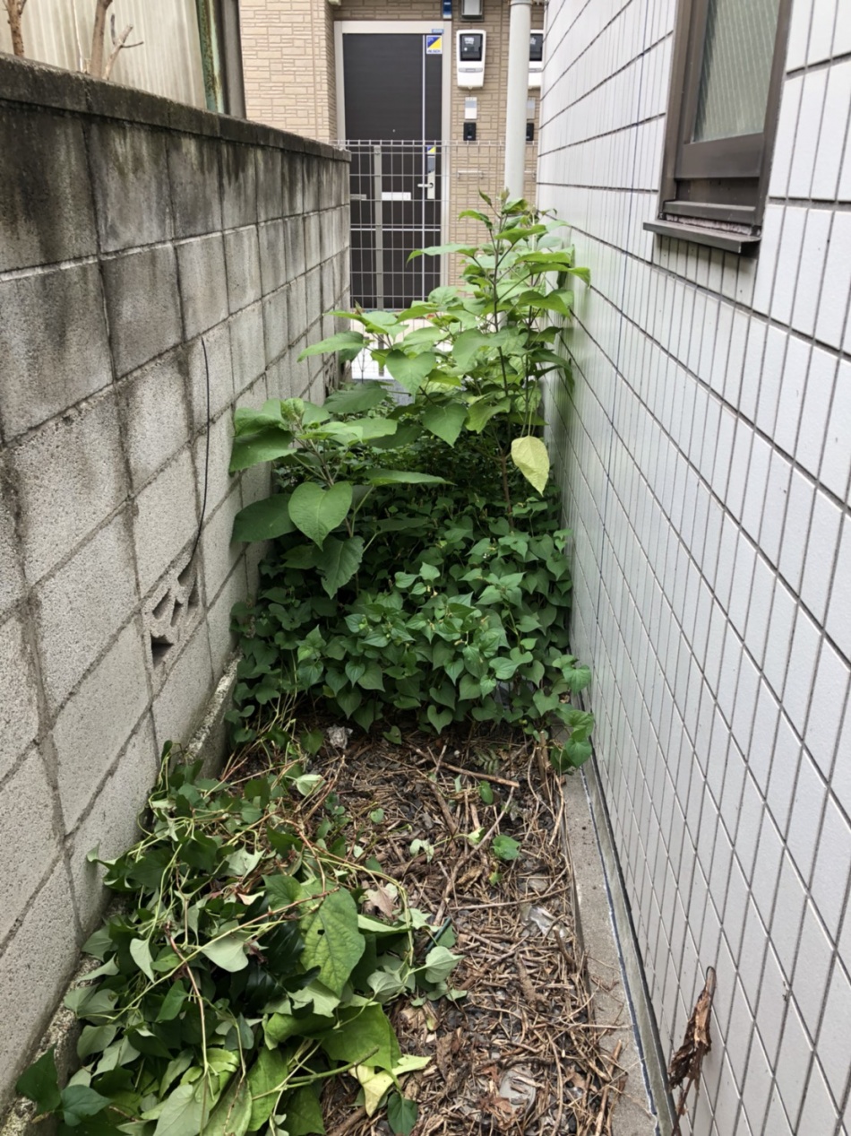 管理物件の環境整備です。