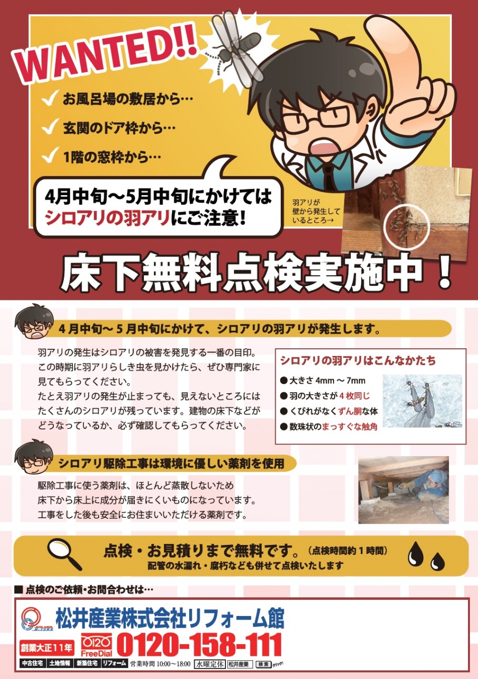 【床下無料点検をします】三郷市・吉川市でも羽アリが発生しています。