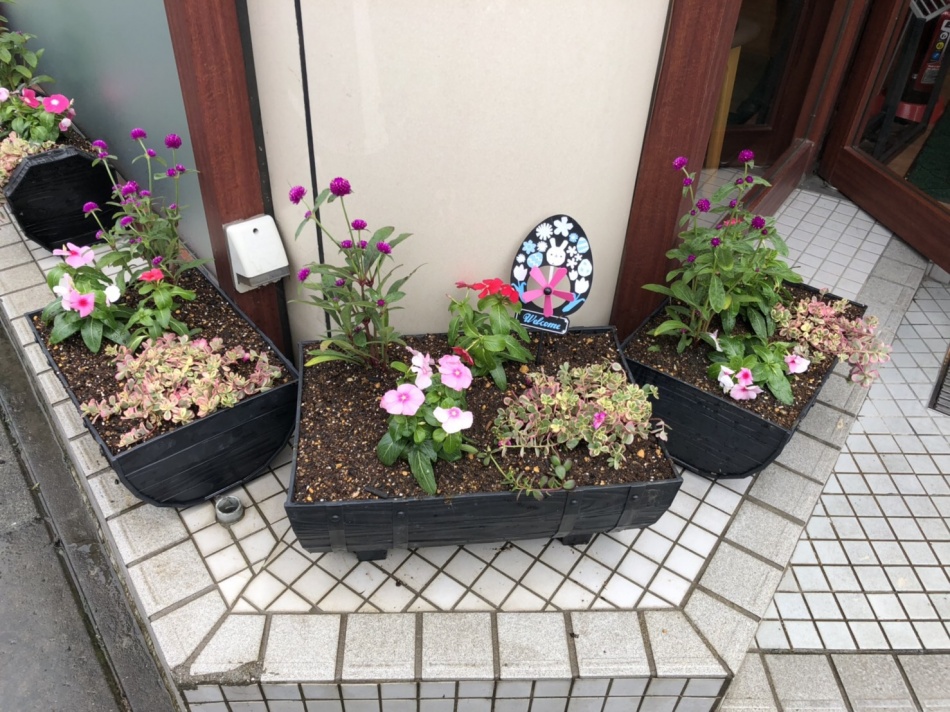 店舗の花を新しくしました。東川口駅前店