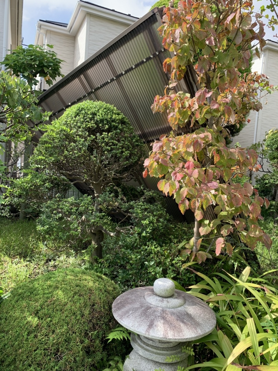 パトロールでは台風により被害を受けたお客様の仮復旧をしました。