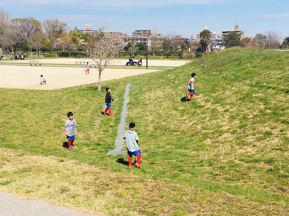 自然豊かなみさと公園、水元公園、大場川沿いでは、桜が満開直前！
