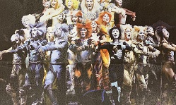 【松井産業オーナー様観劇会】キャッツを見に行きました。