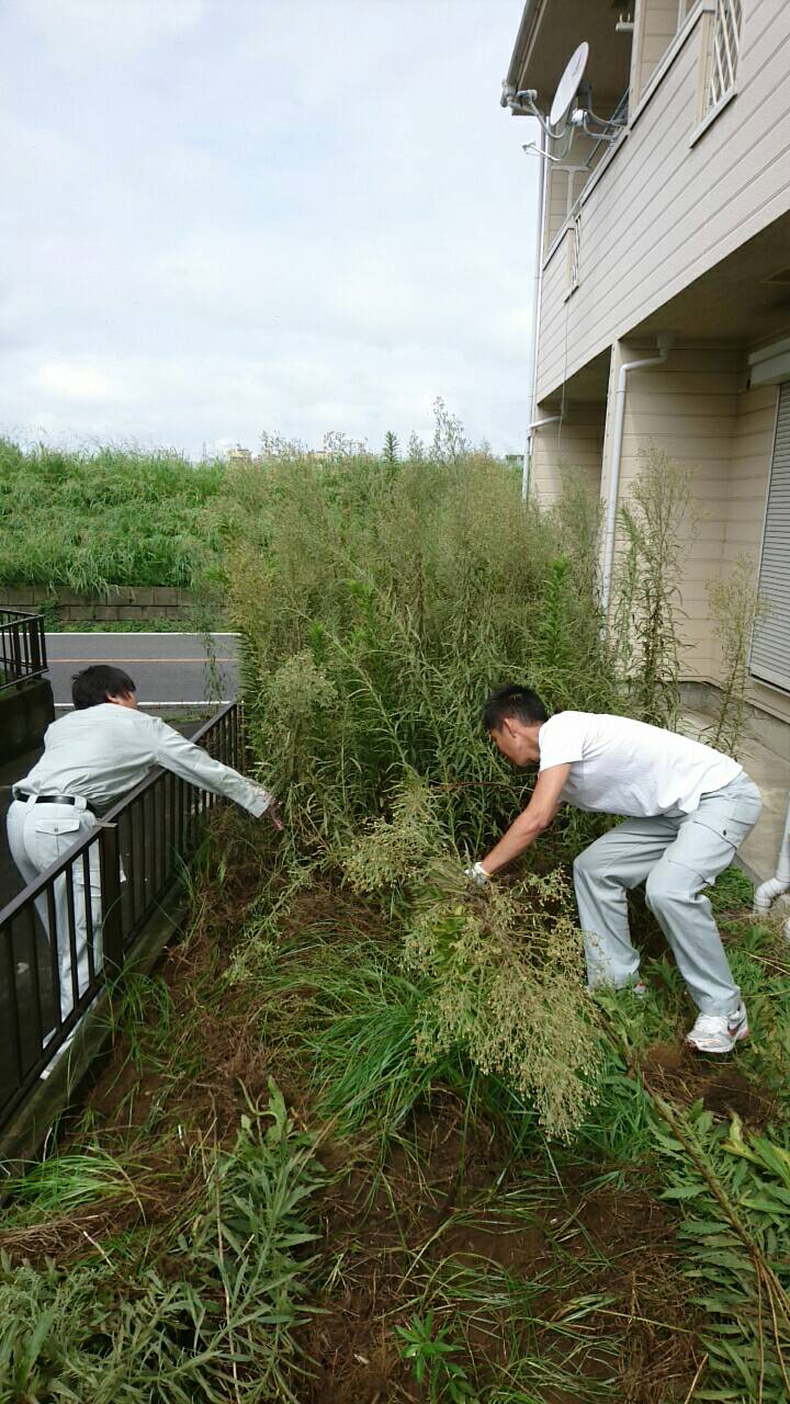 夏は草刈りをして物件環境整備です。松井産業