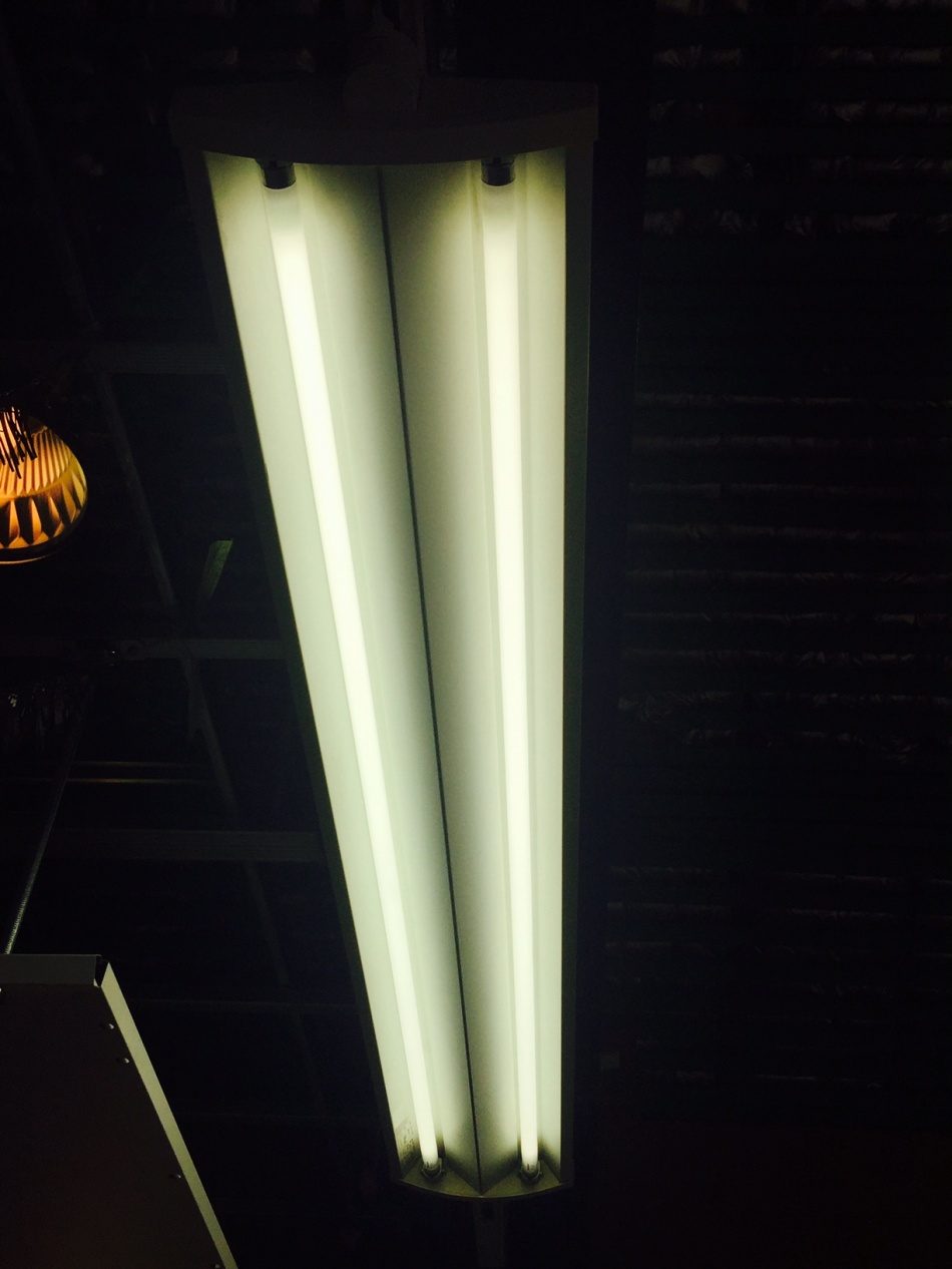 今日は「環境整備」の事前チェックデ―