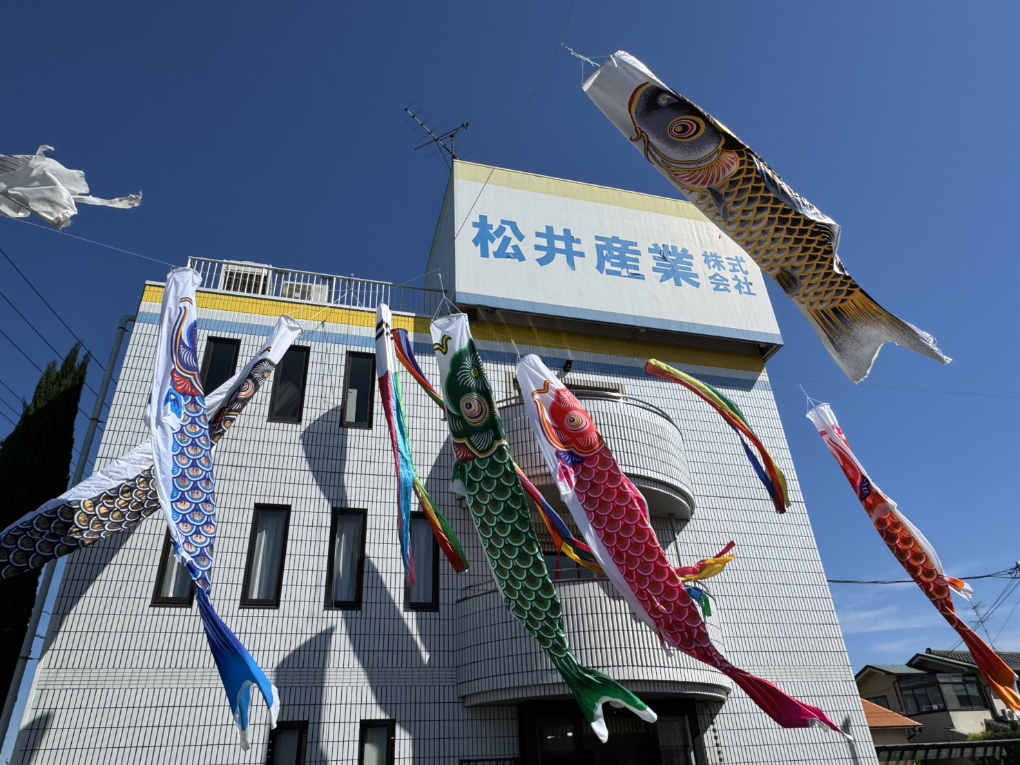 🎏【端午の節句】子どもの日 五月の澄み渡る空と、これからの家づくり